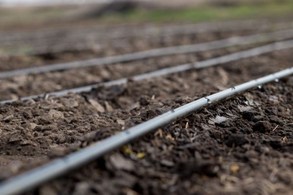 Drip Irrigation Installation - Drip Irrigation Installation Prairie Village, Kansas