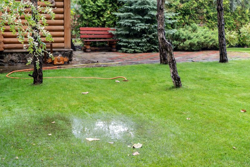 Yard Watering Installation